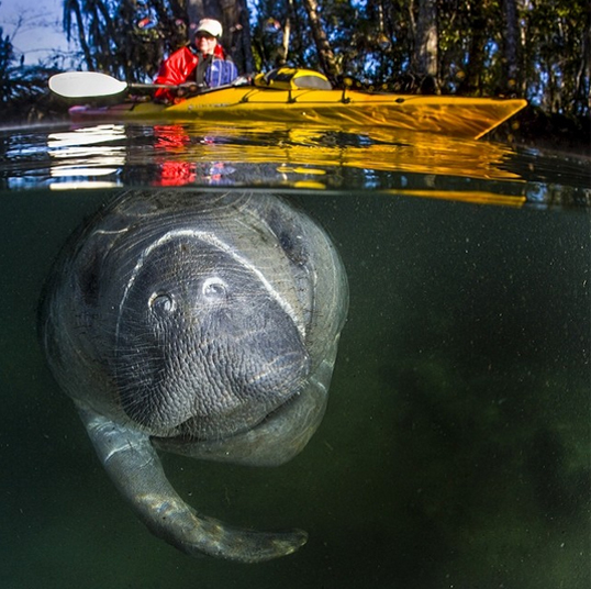 Блог - 25 Безумно крутых снимков с Instagram’a National Geographic 25 Безумно крутых снимков с Instagram’a National Geographic