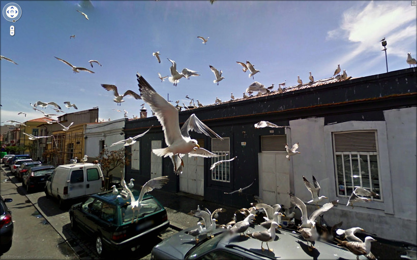 Блог - Снимки из жизни, сделанные камерами Google Street View Снимки из жизни, сделанные камерами Google Street View