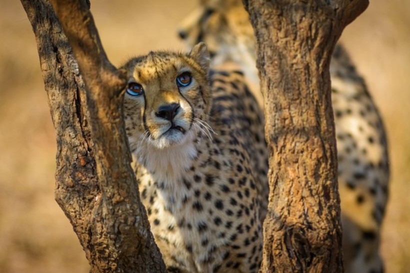 Блог - 20 фантастических фото National Geographic, которые поразят вас до глубины души 20 фантастических фото National Geographic, которые поразят вас до глубины души