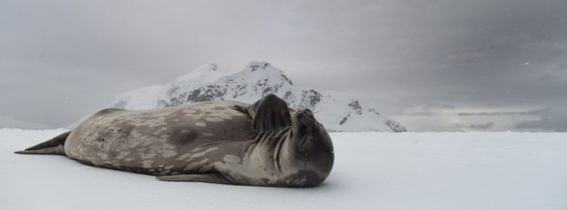 Блог - 20 фантастических фото National Geographic, которые поразят вас до глубины души 20 фантастических фото National Geographic, которые поразят вас до глубины души
