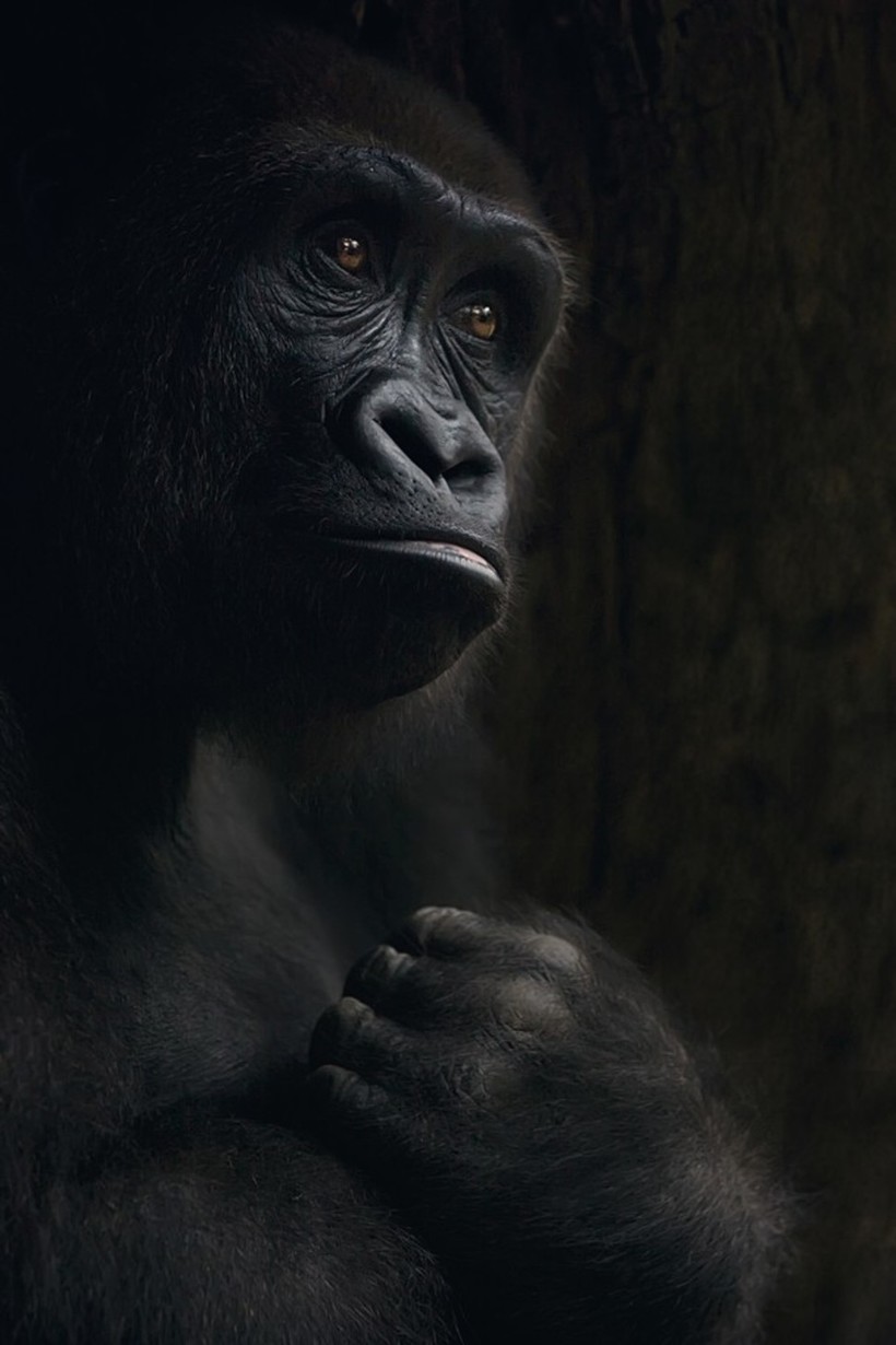 Блог - 20 фантастических фото National Geographic, которые поразят вас до глубины души 20 фантастических фото National Geographic, которые поразят вас до глубины души