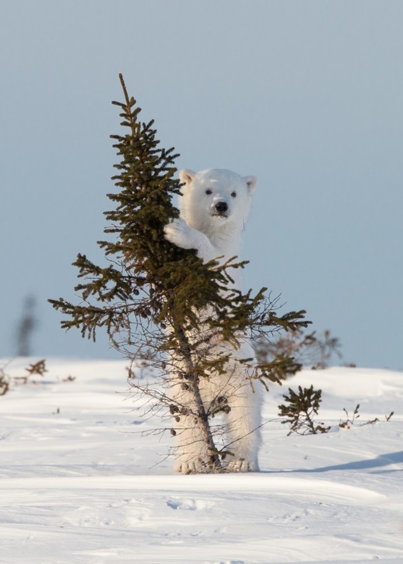 Блог - 20 фантастических фото National Geographic, которые поразят вас до глубины души 20 фантастических фото National Geographic, которые поразят вас до глубины души
