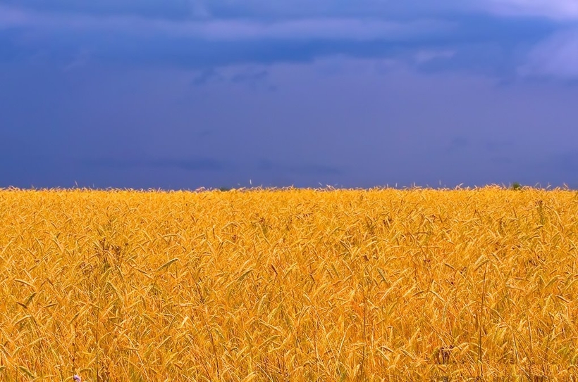 Блог - Флаги государств, нарисованные природой Флаги государств, нарисованные природой