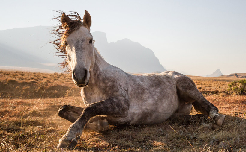 Блог - 10 лучших снимков, сделанных путешественниками для National Geographic 10 лучших снимков, сделанных путешественниками для National Geographic