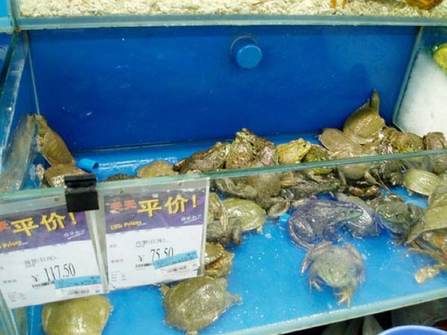 17 необычных продуктов, которые вы найдете лишь в китайских супермаркетах!