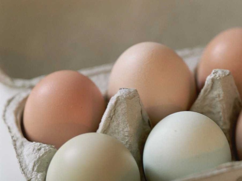 Блог - От каких продуктов стоит отказаться, путешествуя по миру От каких продуктов стоит отказаться, путешествуя по миру