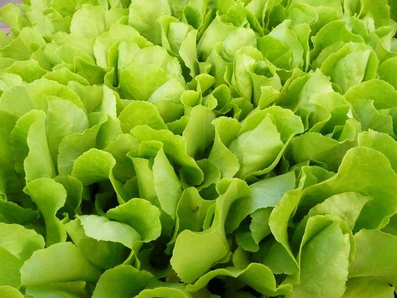 Блог - От каких продуктов стоит отказаться, путешествуя по миру От каких продуктов стоит отказаться, путешествуя по миру