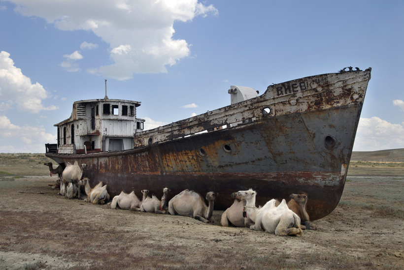 Блог - Пересыхание Аральского моря. Одна из ужаснейших экологических катастроф современности! Пересыхание Аральского моря. Одна из ужаснейших экологических катастроф современности!