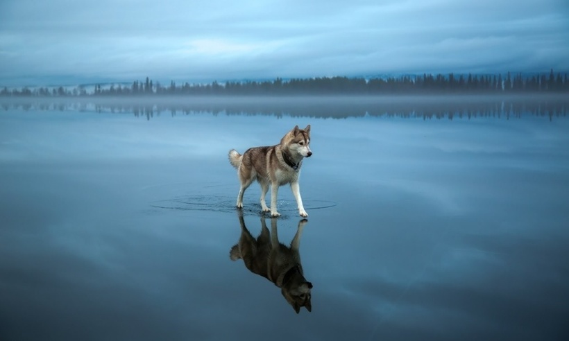 Блог - 13 фотографий, на которых реальность круче фотошопа 13 фотографий, на которых реальность круче фотошопа