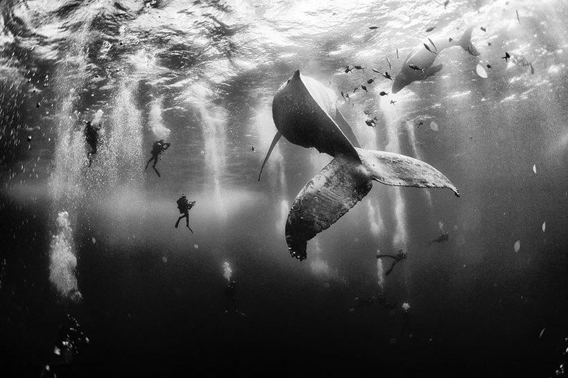 Блог - Феноменальные снимки победителей фотоконкурса National Geographic Traveler 2015 Феноменальные снимки победителей фотоконкурса National Geographic Traveler 2015