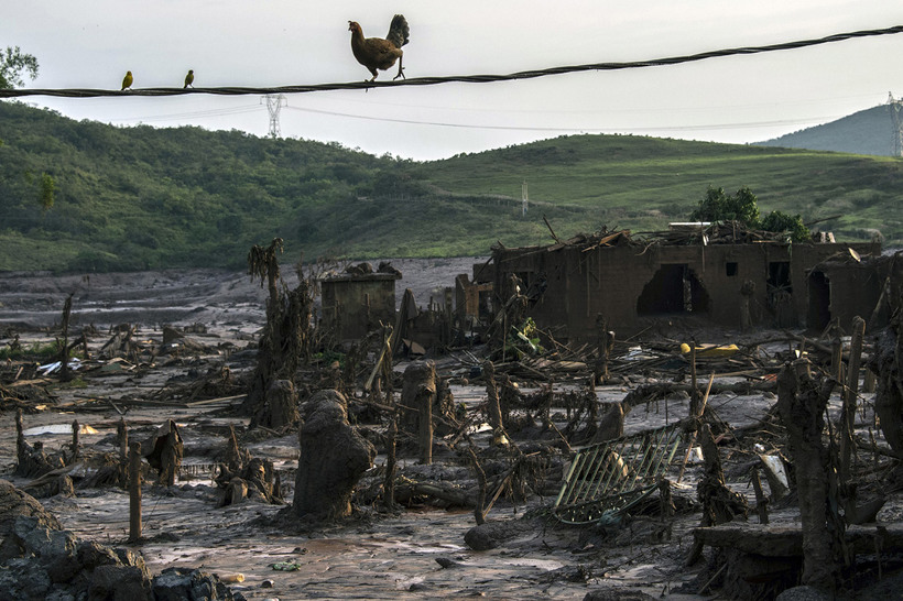 Техногенная катастрофа: токсичная грязь в Бразилии