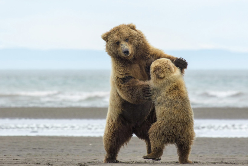 Блог - Лучшее с конкурса фотографии National Geographic 2015 Лучшее с конкурса фотографии National Geographic 2015