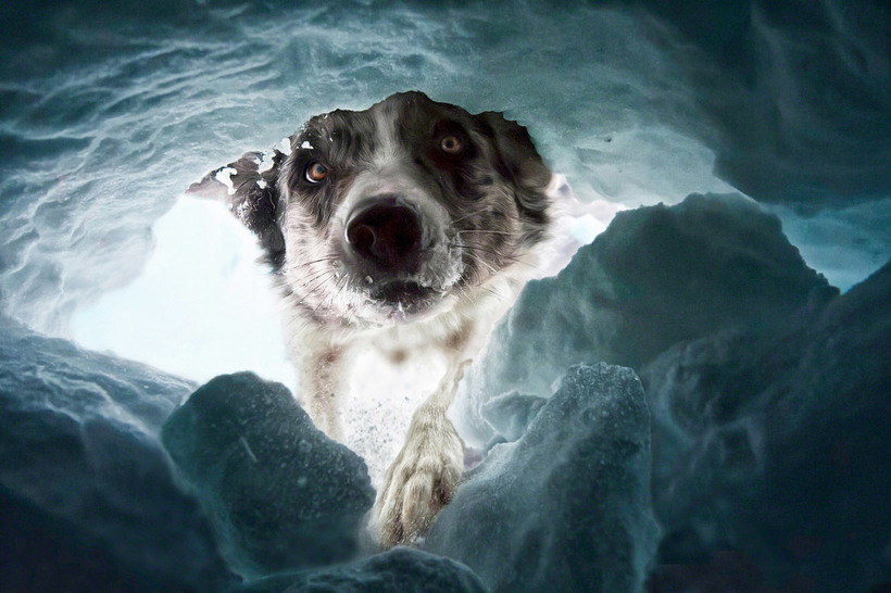 Блог - Лучшее с конкурса фотографии National Geographic 2015 Лучшее с конкурса фотографии National Geographic 2015
