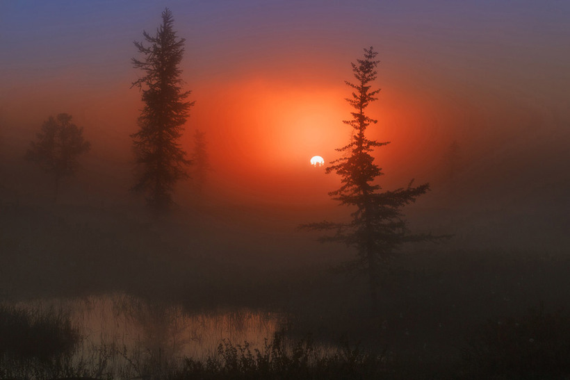 Блог - Лучшее с конкурса фотографии National Geographic 2015 Лучшее с конкурса фотографии National Geographic 2015