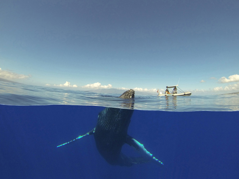 Блог - Лучшее с конкурса фотографии National Geographic 2015 Лучшее с конкурса фотографии National Geographic 2015