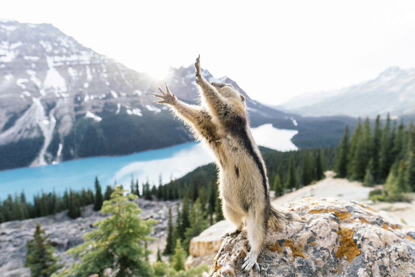 Блог - Лучшее с конкурса фотографии National Geographic 2015 Лучшее с конкурса фотографии National Geographic 2015
