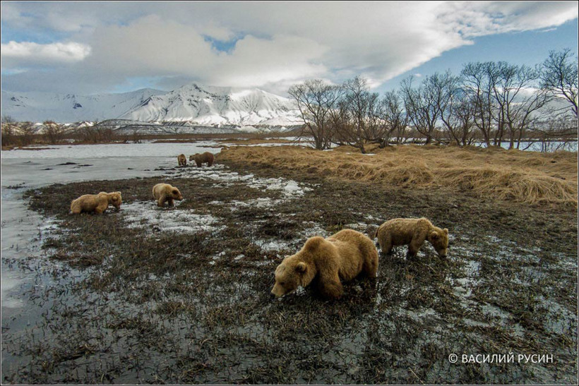 Блог - 20 фотографий, сделанных дронами, при виде которых замирает сердце 20 фотографий, сделанных дронами, при виде которых замирает сердце