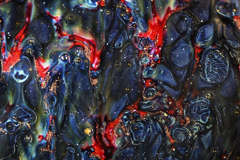Блог - Конкурс микрофотографии Nikon Small World 2015 Конкурс микрофотографии Nikon Small World 2015