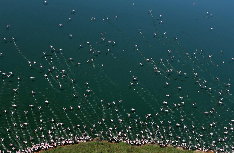 Блог - 20 захватывающих фотографий National Geographic 2015 20 захватывающих фотографий National Geographic 2015