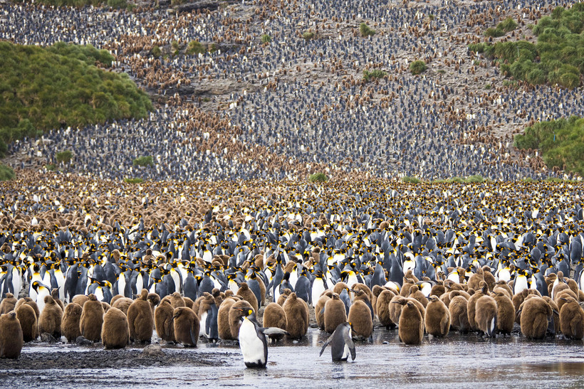 Блог - 20 захватывающих фотографий National Geographic 2015 20 захватывающих фотографий National Geographic 2015