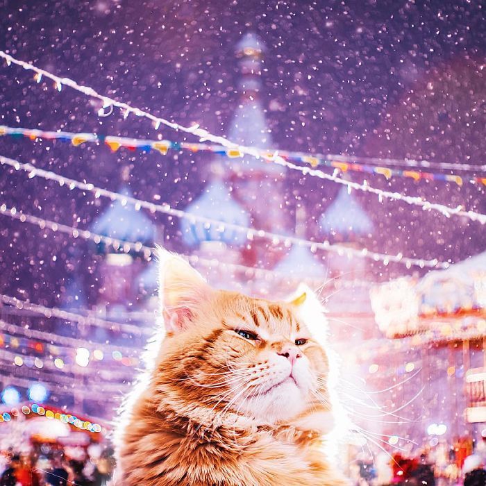 Блог - 17 нереально красивых снимков, на которых рождественская Москва похожа на сказку 17 нереально красивых снимков, на которых рождественская Москва похожа на сказку