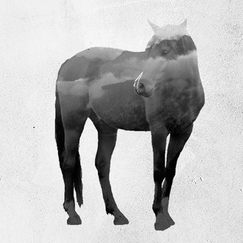 Блог - Душераздирающие изображения того, как мы истребляем жизнь на планете Душераздирающие изображения того, как мы истребляем жизнь на планете