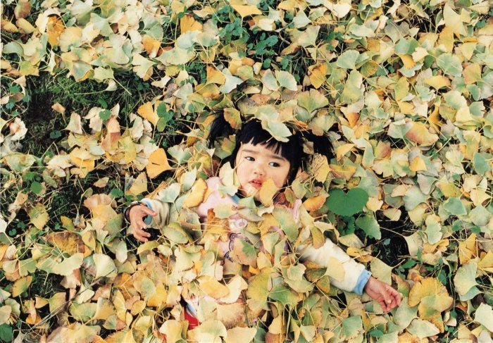 Блог - Снимки из путешествия этой 4-летней малышки из Японии стали настоящей сенсацией! Снимки из путешествия этой 4-летней малышки из Японии стали настоящей сенсацией!
