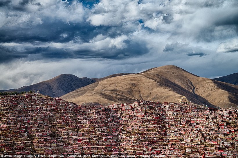 Блог - 43 ошеломляющих фото, представленных на конкурсе Sony World Photography Awards 2016 43 ошеломляющих фото, представленных на конкурсе Sony World Photography Awards 2016