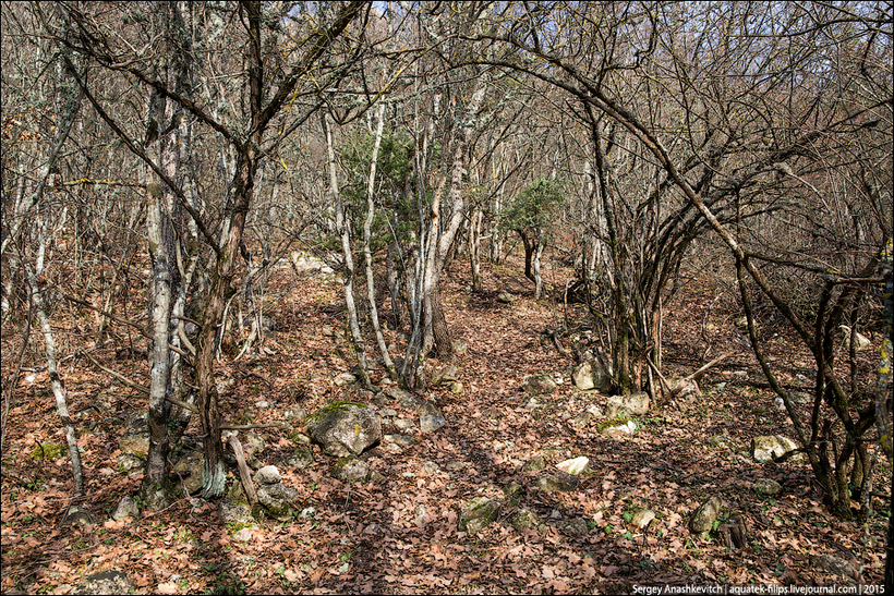 Блог - Красоты Крыма. Шулдан Красоты Крыма. Шулдан