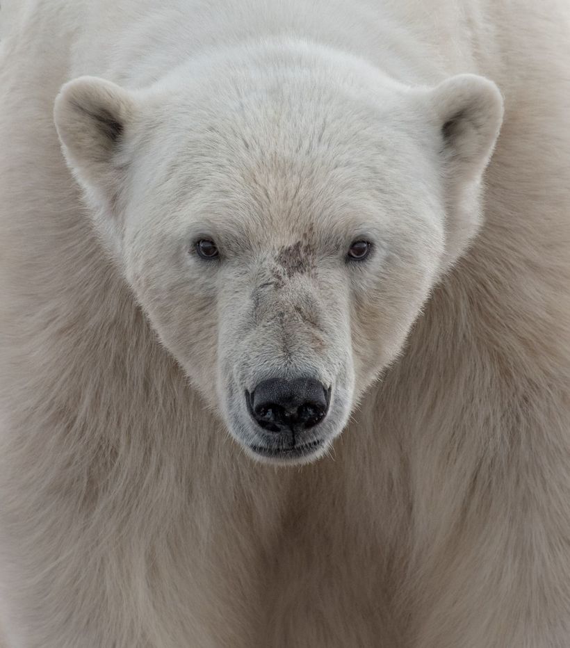 Блог - 10 самых крутых снимков, представленных на конкурс National Geographic Traveler 2016 10 самых крутых снимков, представленных на конкурс National Geographic Traveler 2016