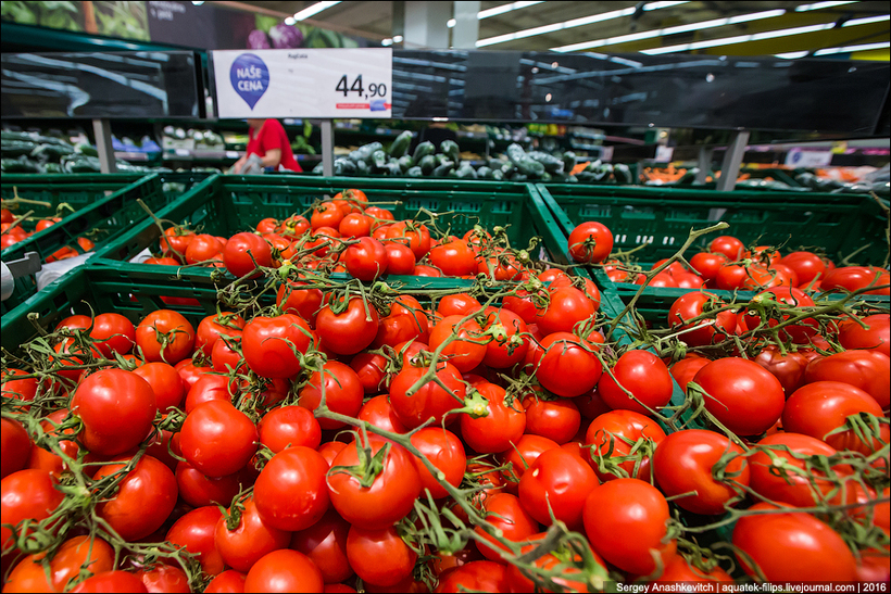 Блог - Удивительные цены на продукты в супермаркете Праги Удивительные цены на продукты в супермаркете Праги