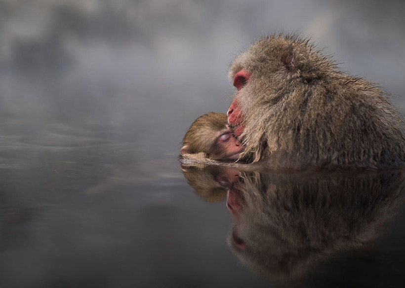 Блог - 20 лучших тревел-снимков с фотоконкурса National Geographic 20 лучших тревел-снимков с фотоконкурса National Geographic