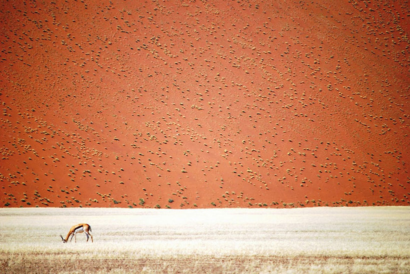 Блог - 20 лучших тревел-снимков с фотоконкурса National Geographic 20 лучших тревел-снимков с фотоконкурса National Geographic