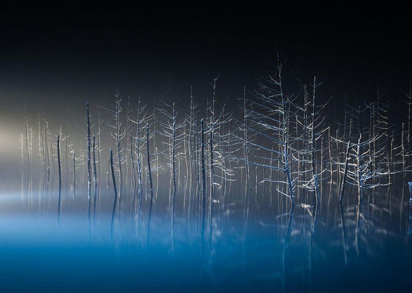 Блог - 20 лучших тревел-снимков с фотоконкурса National Geographic 20 лучших тревел-снимков с фотоконкурса National Geographic
