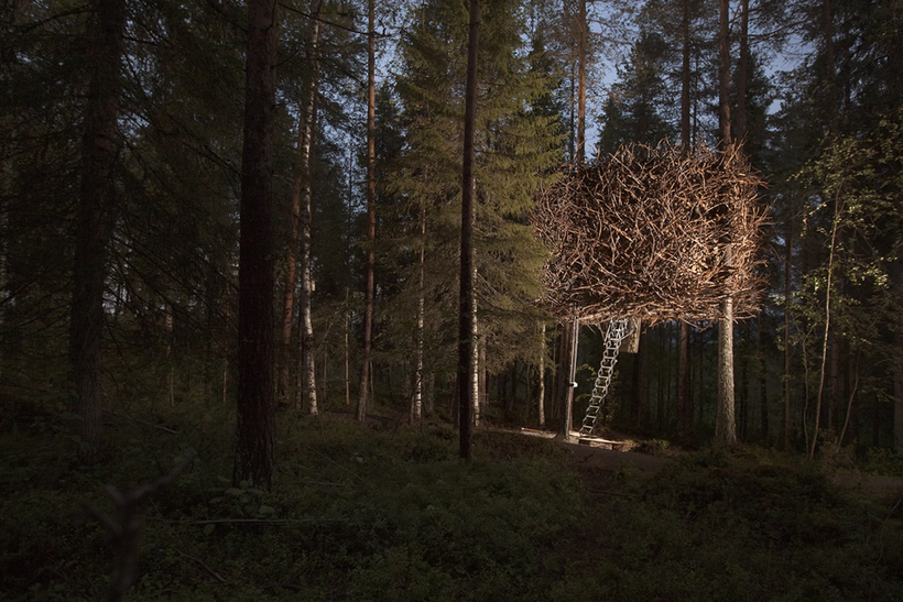 Блог - 17 снимков Treehotel — самого необычного места для отдыха 17 снимков Treehotel — самого необычного места для отдыха