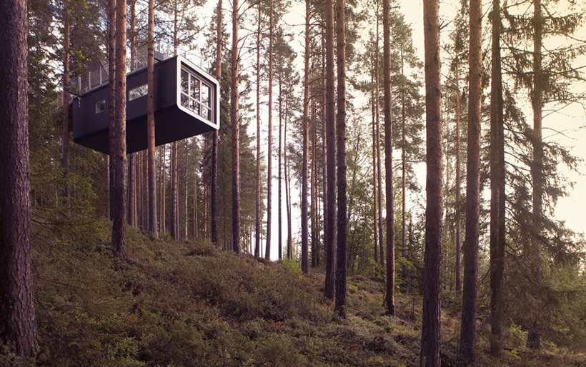 Блог - 17 снимков Treehotel — самого необычного места для отдыха 17 снимков Treehotel — самого необычного места для отдыха