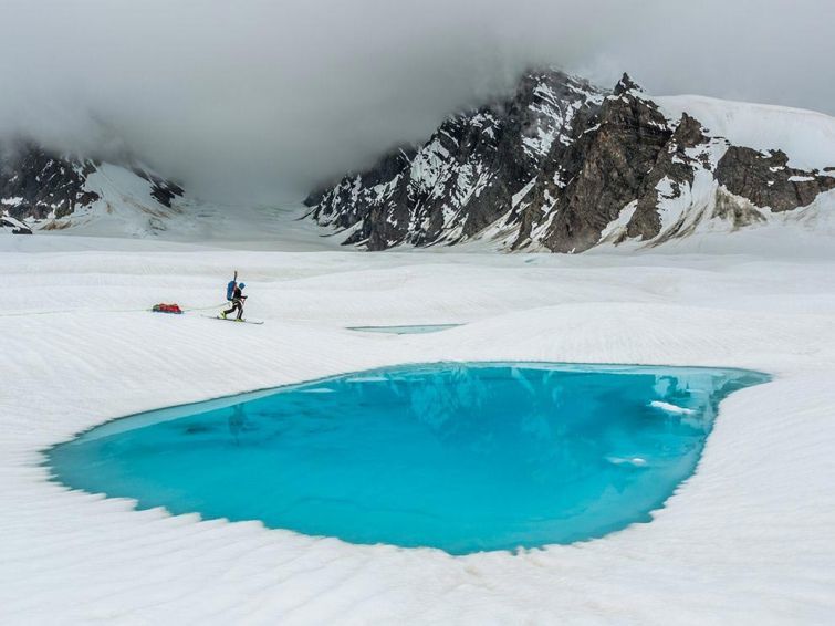 Блог - 18 незабываемых и экспрессивных снимков дикой природы от National Geographic 18 незабываемых и экспрессивных снимков дикой природы от National Geographic