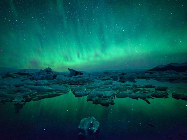 Блог - 18 незабываемых и экспрессивных снимков дикой природы от National Geographic 18 незабываемых и экспрессивных снимков дикой природы от National Geographic