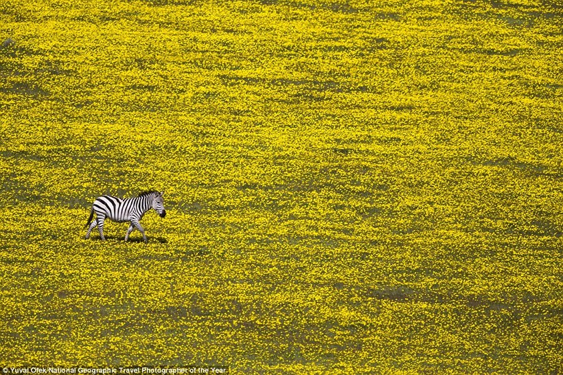 Блог - 12 выдающихся фото с конкурса National Geographic Travel Photographer of the Year 2016 12 выдающихся фото с конкурса National Geographic Travel Photographer of the Year 2016