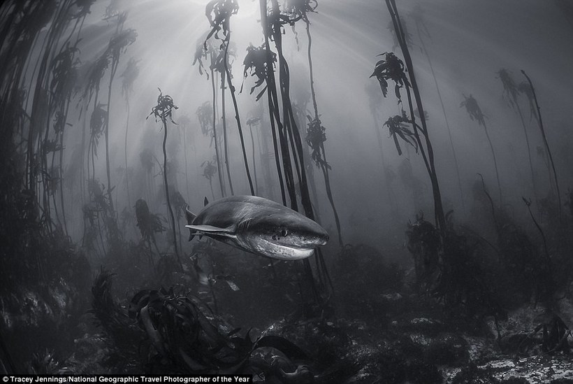Блог - 12 выдающихся фото с конкурса National Geographic Travel Photographer of the Year 2016 12 выдающихся фото с конкурса National Geographic Travel Photographer of the Year 2016