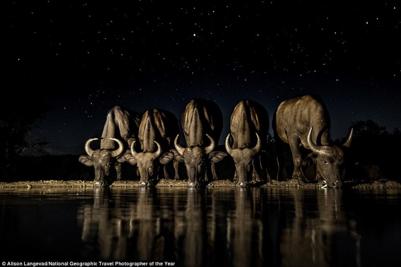Блог - 12 выдающихся фото с конкурса National Geographic Travel Photographer of the Year 2016 12 выдающихся фото с конкурса National Geographic Travel Photographer of the Year 2016
