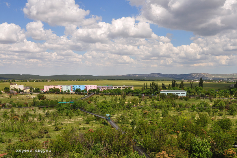 Блог - Африка в Крыму Африка в Крыму