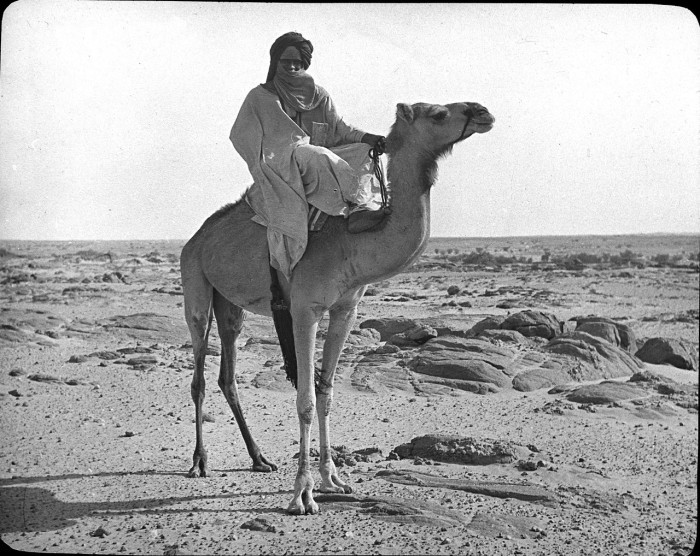 Блог - 31 колоритное старинное фото из путешествий по Западной Африке в 1933-34 годах 31 колоритное старинное фото из путешествий по Западной Африке в 1933-34 годах