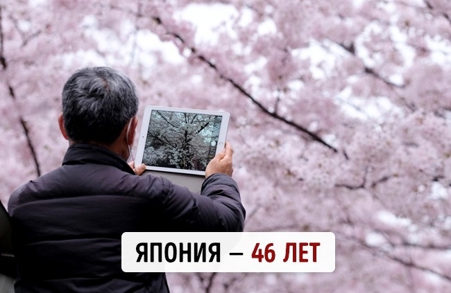 Блог - Средний возраст населения в 20 самых знаменитых странах мира Средний возраст населения в 20 самых знаменитых странах мира