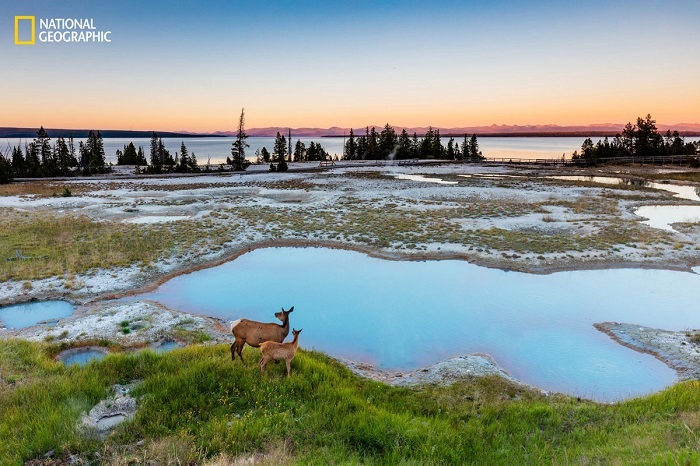 Блог - 15 незабываемых снимков дикой природы с конкурса National Geographic Nature Photographer of the Year 15 незабываемых снимков дикой природы с конкурса National Geographic Nature Photographer of the Year