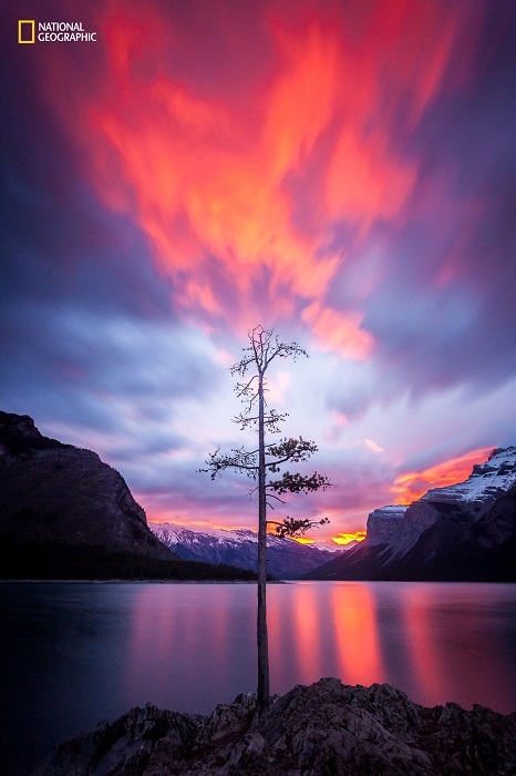 Блог - 15 незабываемых снимков дикой природы с конкурса National Geographic Nature Photographer of the Year 15 незабываемых снимков дикой природы с конкурса National Geographic Nature Photographer of the Year