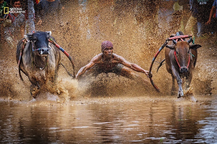 Блог - 15 незабываемых снимков дикой природы с конкурса National Geographic Nature Photographer of the Year 15 незабываемых снимков дикой природы с конкурса National Geographic Nature Photographer of the Year