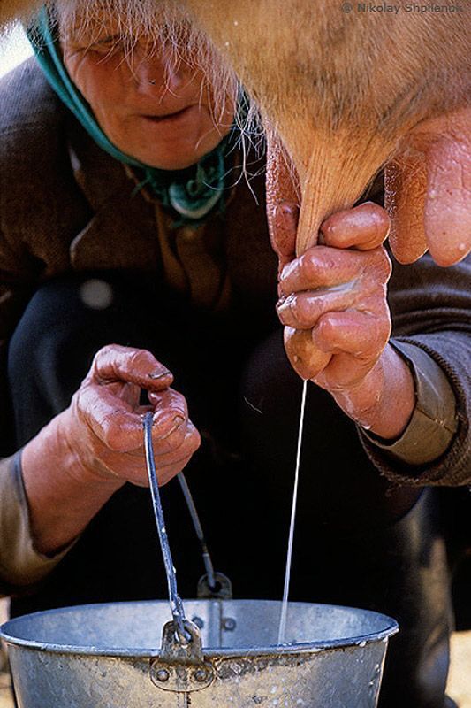 Блог - В затерянном мире русской деревни В затерянном мире русской деревни