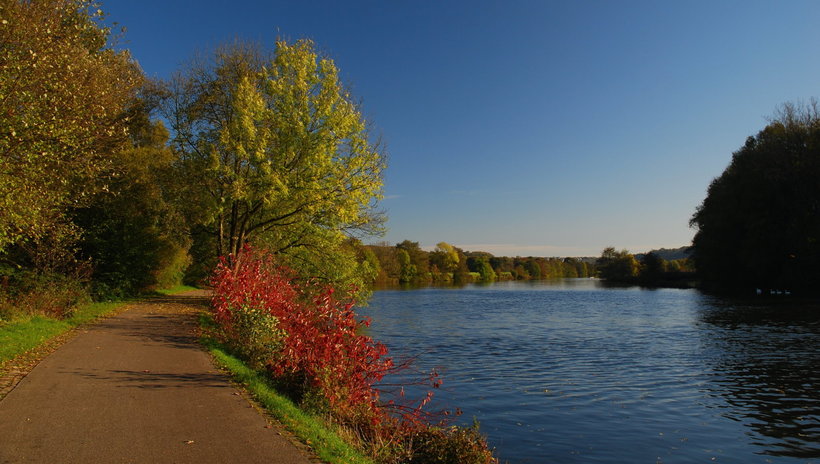 28057748.jpg?1488177161