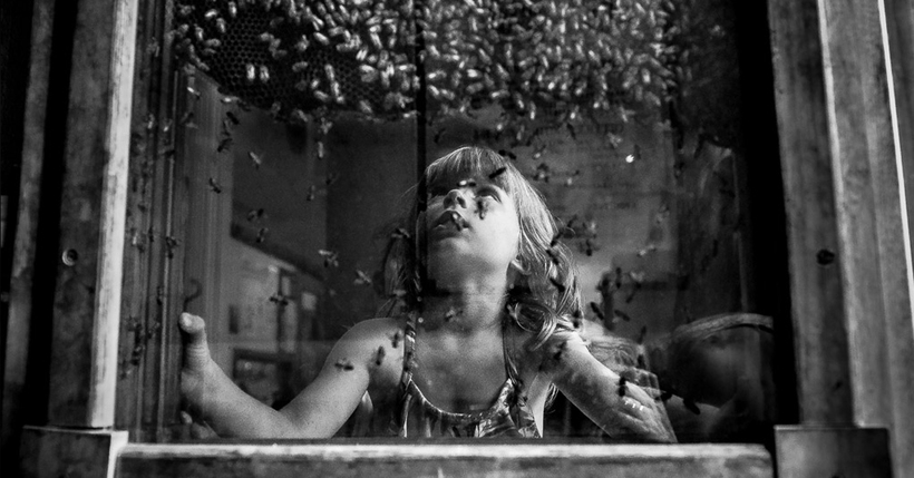 Блог - 12 бесподобных фото с конкурса B&W Child о том, как видят детство в разных странах 12 бесподобных фото с конкурса B&W Child о том, как видят детство в разных странах